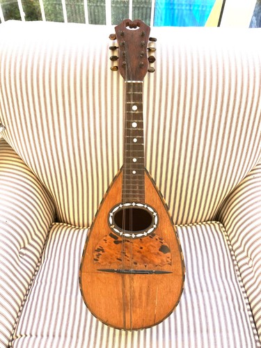 Vintage mandolin 1900 - vintage,