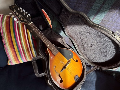 Aria mandolin electro acoustic - electro,