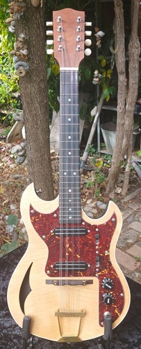 Electric mandola with - electric,