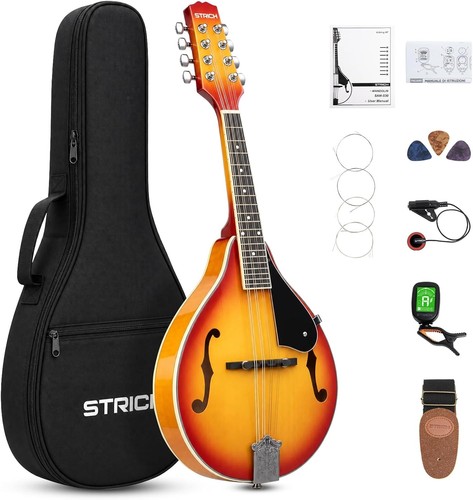 Strich acoustic mandolin - strich,