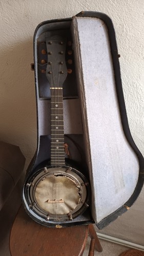 Vintage walliostro zither - vintage,