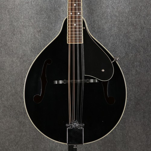 Tanglewood tml union series - union,