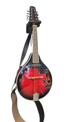 Irin mandolin grade b - irin,